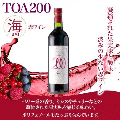 赤ワイン TOA200 海 12度 720ml 果実酒 葡萄酒 ぶどう フルーティ 湯浅ワイナリー