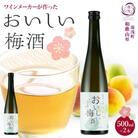ワインメーカーが作ったおいしい梅酒 紀州南高梅 使用 12度 500ml 2本 湯浅ワイナリー