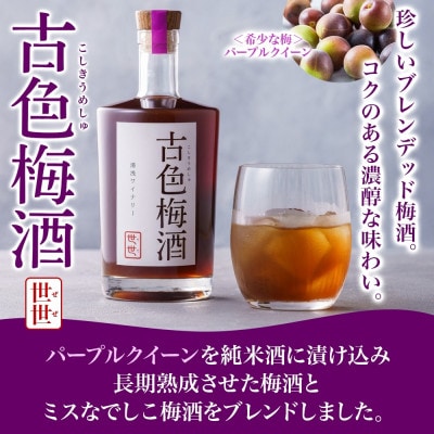 古色梅酒 世世 ぜぜ 19度 500ml パープルクイーン ミスなでしこ 湯浅ワイナリー