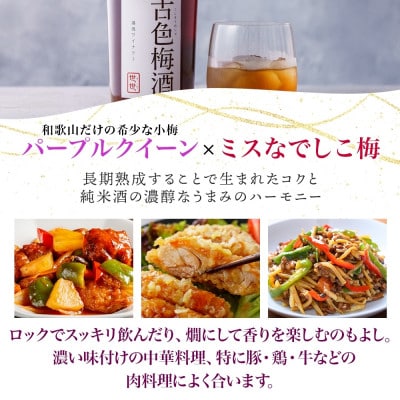 古色梅酒 世世 ぜぜ 19度 500ml パープルクイーン ミスなでしこ 湯浅ワイナリー