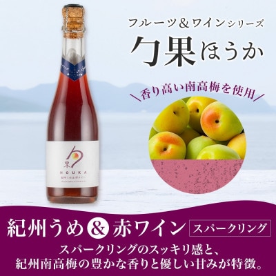 勹果 ほうか 紀州うめ&スパークリングワイン 赤白2種セット 375ml 各1本 湯浅ワイナリー