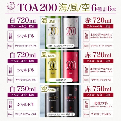 赤白ワイン6種セット TOA200 海・風・空 熟成ワイン 6本 赤ワイン 白ワイン 湯浅ワイナリー