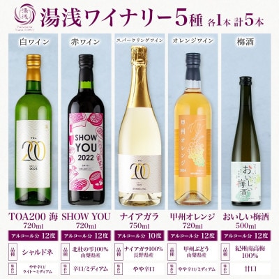 湯浅ワイナリー ワインと梅酒5種セット シャルドネ 赤ワイン オレンジワイン スパークリング 梅酒