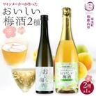 梅酒 ワインメーカーが作ったおいしい梅酒2種セット 梅酒と梅酒スパークリング 各1本 湯浅ワイナリー