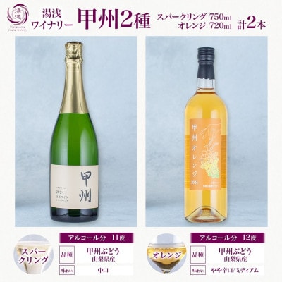 甲州ワイン 2種セット 甲州オレンジ 甲州スパークリング 各1本 計2本 湯浅ワイナリー ワイン