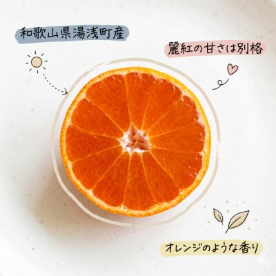 《訳あり 家庭用》麗紅　3kg(S～2Lサイズ混合)