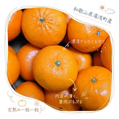 《訳あり 家庭用》麗紅　3kg(S～2Lサイズ混合)