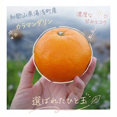 《訳あり 家庭用》カラマンダリン　3kg(S～2Lサイズ混合)