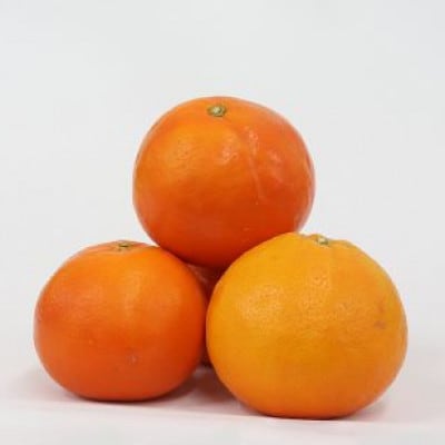《訳あり 家庭用》カラマンダリン　3kg(S～2Lサイズ混合)