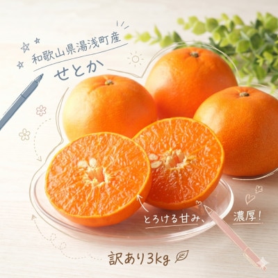 《訳あり 家庭用》せとか　3kg(S～2Lサイズ混合)