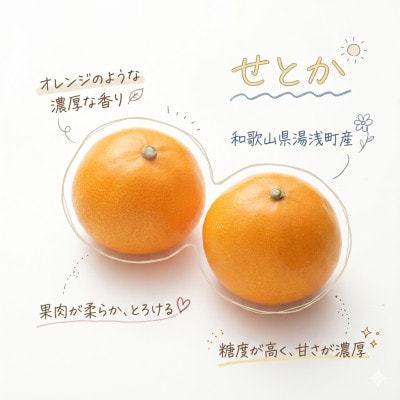 《訳あり 家庭用》せとか　3kg(S～2Lサイズ混合)