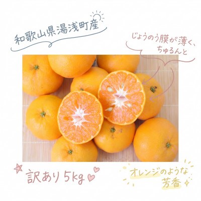 《訳あり 家庭用》西南のひかり　5kg(S～2Lサイズ混合)