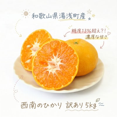 《訳あり 家庭用》西南のひかり　5kg(S～2Lサイズ混合)