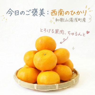《訳あり 家庭用》西南のひかり　5kg(S～2Lサイズ混合)