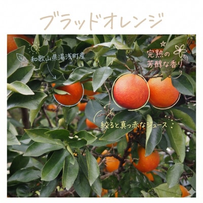 《訳あり 家庭用》ブラッドオレンジ　5kg(S～2Lサイズ混合)