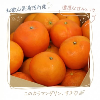 《訳あり 家庭用》カラマンダリン　5kg(S～2Lサイズ混合)