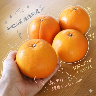 《訳あり 家庭用》セミノール　5kg(S～2Lサイズ混合)
