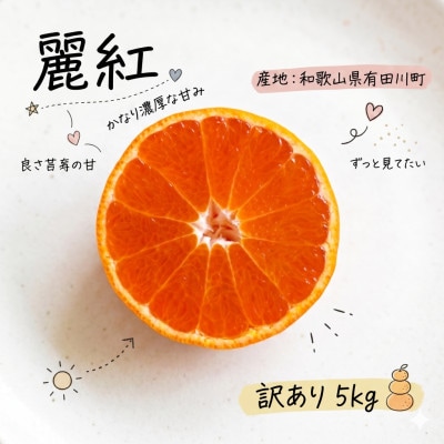 《訳あり 家庭用》麗紅　5kg(S～2Lサイズ混合)