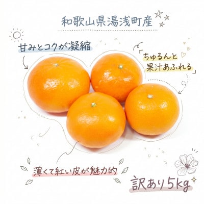 《訳あり 家庭用》麗紅　5kg(S～2Lサイズ混合)