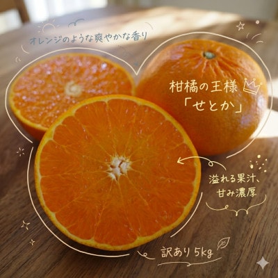 《訳あり 家庭用》せとか　5kg(S～2Lサイズ混合)