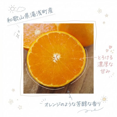 《訳あり 家庭用》せとか　5kg(S～2Lサイズ混合)