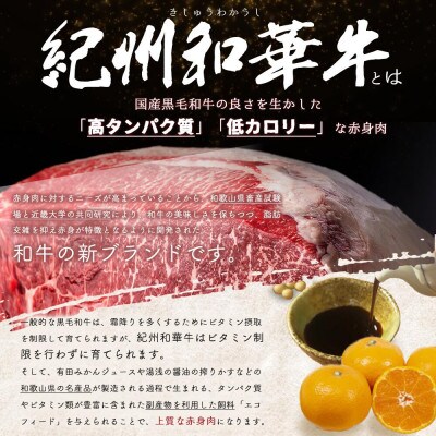 【紀州和華牛研究所　限定】紀州和華牛とろける冷凍サーロインビーフジャーキー　3枚