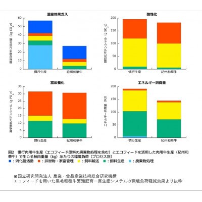 【紀州和華牛研究所　限定】紀州和華牛とろける冷凍サーロインビーフジャーキー　3枚
