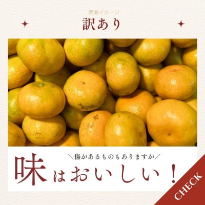 有田みかん　極早生　2.6キロ　訳あり