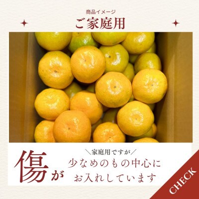 有田みかん　極早生　4.5キロ　家庭用