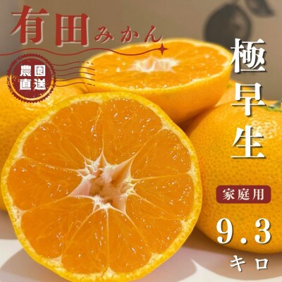 有田みかん　極早生　9.3キロ　家庭用