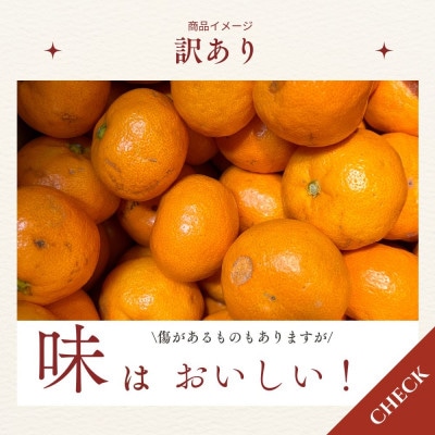 有田みかん　早生　2.6キロ　訳あり