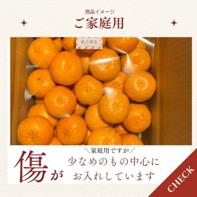 有田みかん　早生　4.5キロ　家庭用