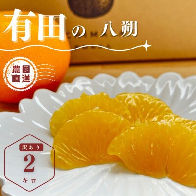 木成り八朔さつき　2キロ　訳あり　サイズ混合