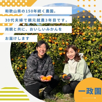 木成り八朔さつき　2キロ　訳あり　サイズ混合