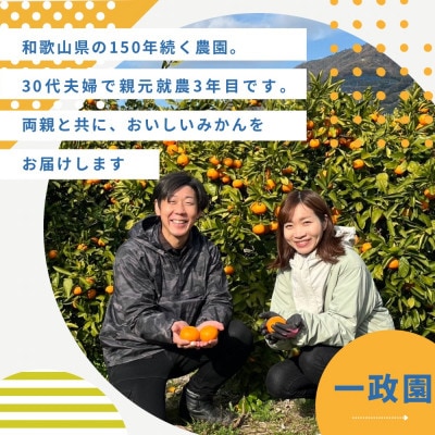 木成り八朔さつき　4.5キロ　家庭用　サイズ混合