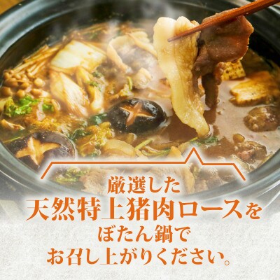 ぼたん鍋セット 特上猪肉ロース 600g 特製猪鍋みそ付き