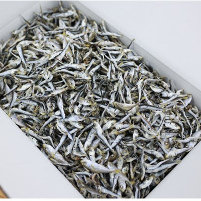 【京都府伊根町】じゃこ(混ぜり煮干し) 2kg 専用箱入り