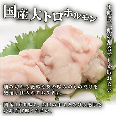 【訳あり】国産牛大トロホルモン 大容量を小分けで 自家製西京味噌焼き 3kg ご飯が止まらない!