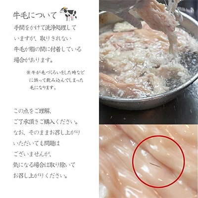【黒毛和牛】マルチョウ 自家製西京味噌焼き 1.2kg 小分けパック ギフトや贈答、お祝いにも