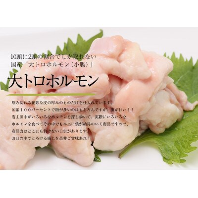 【訳あり】国産牛大トロホルモン 西京味噌焼き 1.5kg