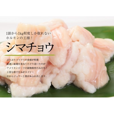 【訳あり】中トロホルモン 西京味噌焼き 600g