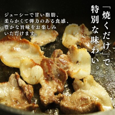 京丹波ぽーく(ベーシック)Aセット(焼肉用・スライス 各500g)