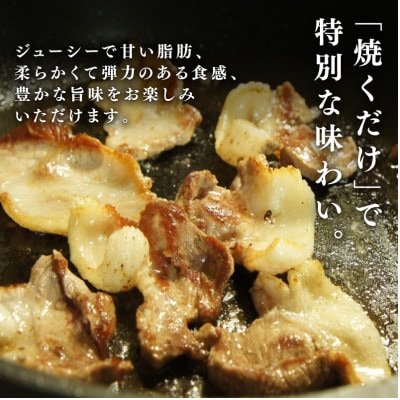 京丹波ぽーく モモ切り落とし 1kg