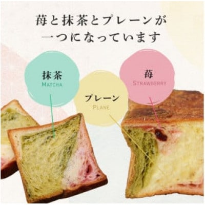 デニッシュ 2本セット ( やわた三色 + 栗 ) 各1斤　化粧箱入り