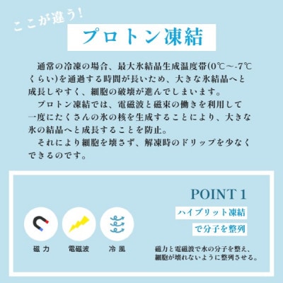 国産 うなぎ わっぱ飯 130g×4個