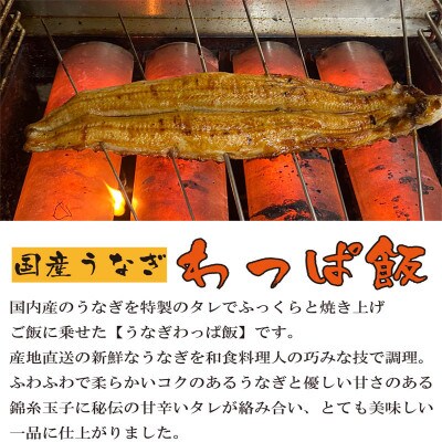 国産うなぎ と 国産牛すき わっぱ飯 セット 130g×各2個