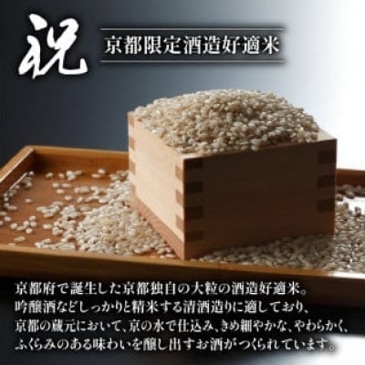 日本酒 飲み比べ 京の地酒 祝米 セット 純米 720ml×2本