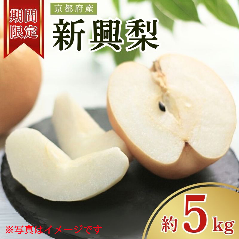 【期間限定】京都府京丹後産 新興梨 約5kg(6玉～14玉入り)産地直送の糖度の高いナシをお届け。