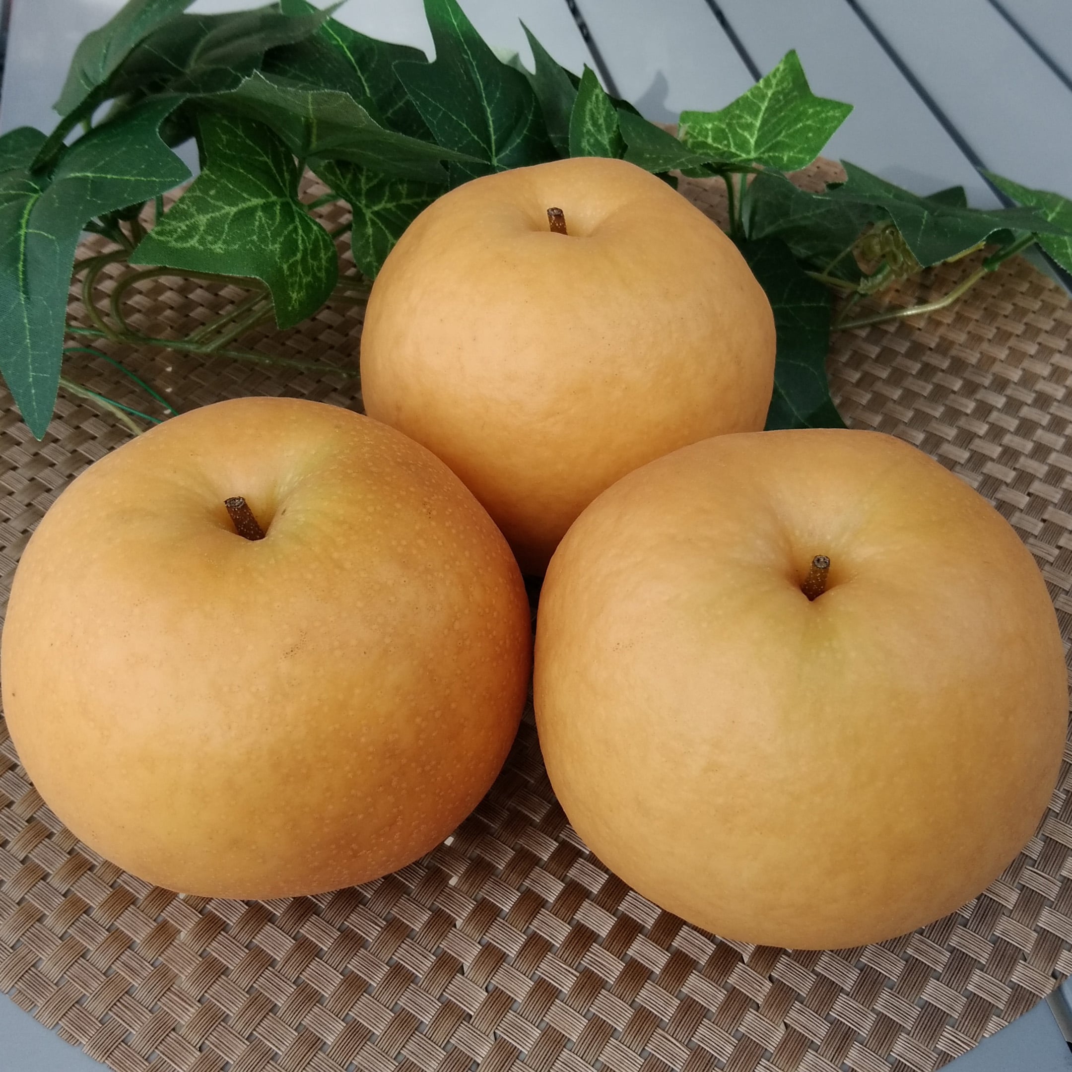 【期間限定】京都府京丹後産 新興梨 約5kg(6玉～14玉入り)産地直送の糖度の高いナシをお届け。