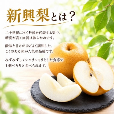 【先行予約・期間限定】2026年産 旬の新興梨 約5kg(6玉～14玉) 産地直送 果物 フルーツ
